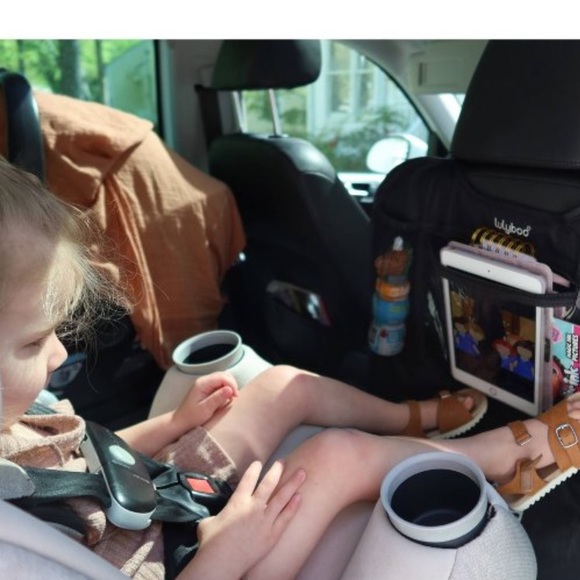 Lulyboo Auto Seat Protector and Car Seat Organizer - Black - Picture 4 of 4